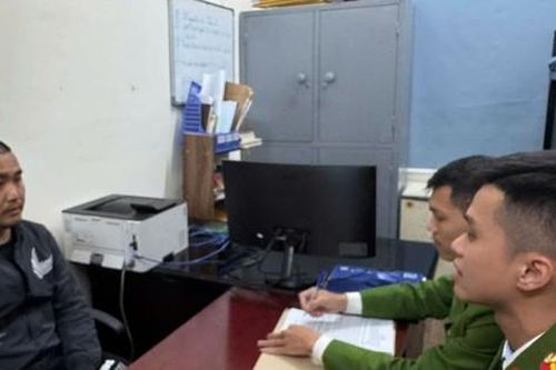 Tạm giữ hình sự 7 đối tượng 'bảo kê' bán đào, quất dịp Tết