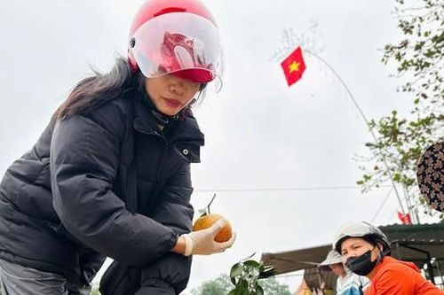 Thủ phủ cam bù vàng rực, bung hàng ngày Tết
