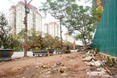 Cảnh khác lạ ở chợ hoa, vỉa hè đường Võ Chí Công ngày 27 Tết