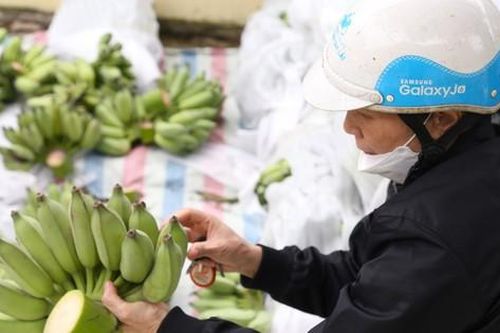 Nửa triệu một nải chuối xanh bày mâm ngũ quả