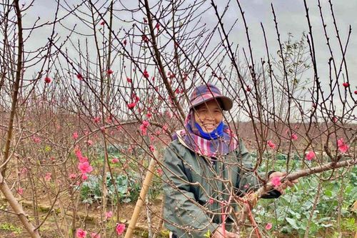 Đào Nhật Tân và 'canh bạc' cam go với ông trời