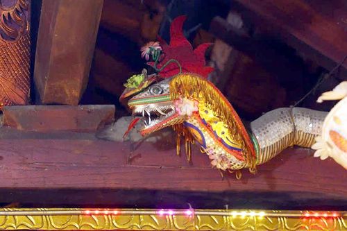 Chuyện kỳ bí về loài rắn ba mào cuộn tròn trong ngôi đền thiêng ở Phú Thọ