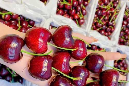 Cherry đắt đỏ vẫn 'cháy hàng', bất ngờ với 'sầu riêng giải cứu' 50.000 đồng/kg