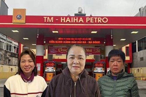 Truy tố Chủ tịch kiêm Tổng Giám đốc Công ty Hải Hà và hai thuộc cấp, gây thiệt hại hơn 300 tỉ đồng