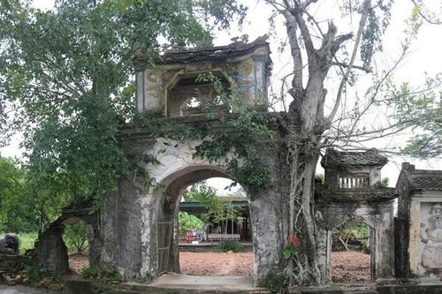 Nguồn gốc tục thờ rắn tại một số ngôi đền ở Nghệ An