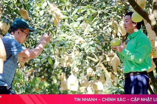 Chuyển đổi số về… làng