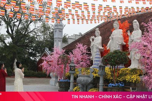 Lung linh cảnh sắc đón Tết tại các ngôi chùa ở Hà Tĩnh