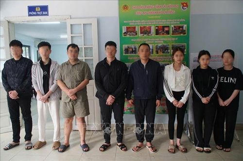 Triệt phá tổ chức lừa đảo qua mạng hàng nghìn tỷ đồng