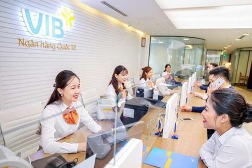 Nợ có khả năng mất vốn của VIB tăng gấp gần 3 lần