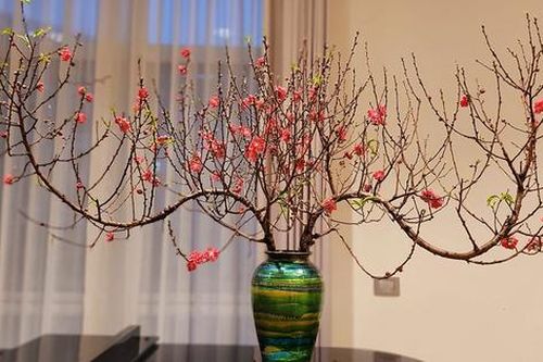 Đừng đốt gốc đào nữa đây mới là cách khiến hoa đào bền đẹp ngày Tết