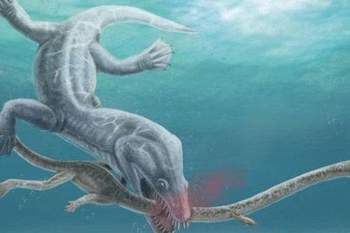 Phát hiện mới về nguyên nhân tuyệt chủng của loài 'quái vật' biển cổ dài