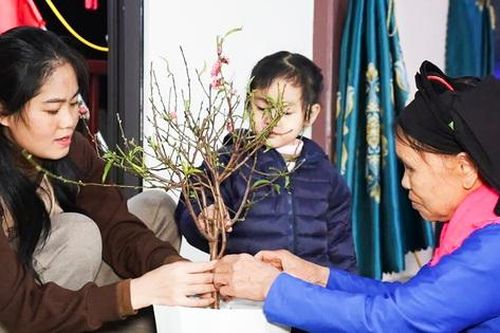 Hoa nở sau bão giông chở mùa Xuân yêu thương