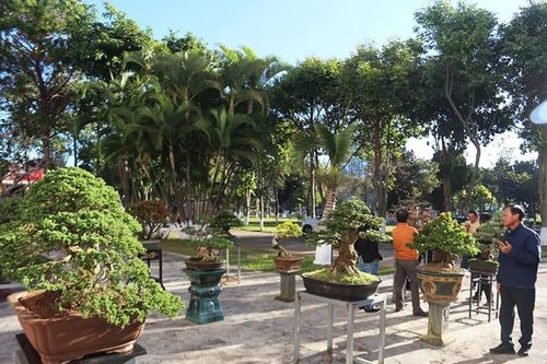 Ngôi nhà chung của những người đam mê bonsai