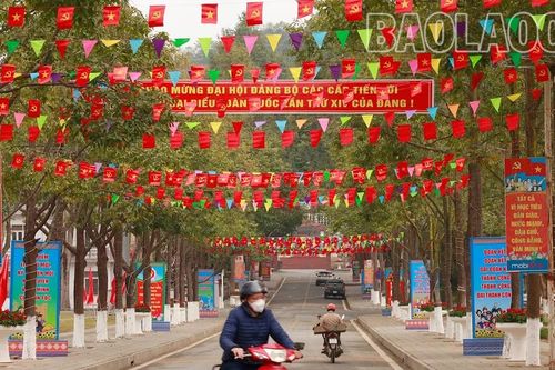 Rực rỡ cờ hoa mừng Đảng, mừng Xuân