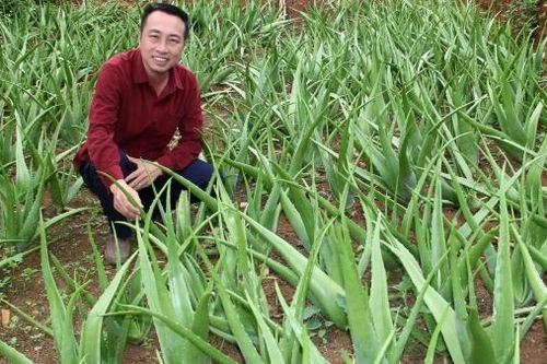 BÁO XUÂN 2025: Đưa nông sản lên sàn thương mại điện tử