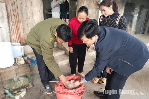 Tuyên Quang cấp trên 218 tấn gạo cho các hộ dân có nguy cơ thiếu lương thực trong dịp Tết Nguyên đán Ất Tỵ 2025