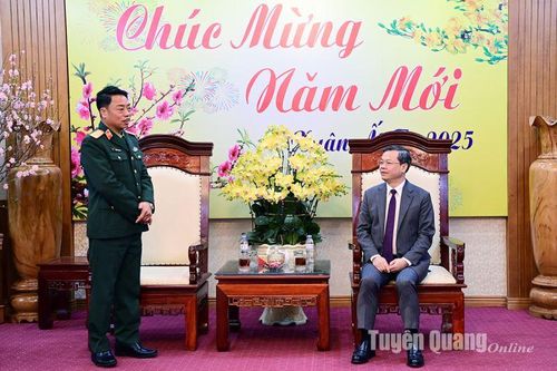 Lãnh đạo Bộ Tư lệnh Binh chủng Đặc công chúc Tết tỉnh