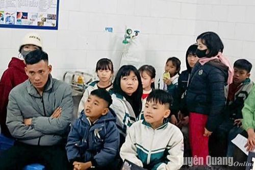 UBND tỉnh chỉ đạo về vụ việc nghi ngộ độc tại trường Tiểu học Phú Lâm
