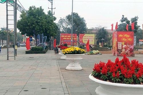 Vĩnh Phúc: Rực rỡ sắc Xuân trên mọi nẻo đường
