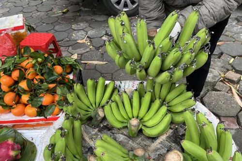 Chuối xanh miền Nam 'đổ bộ' ra Bắc