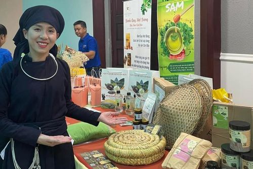 Khi người trẻ làm du lịch gắn kết với văn hóa địa phương