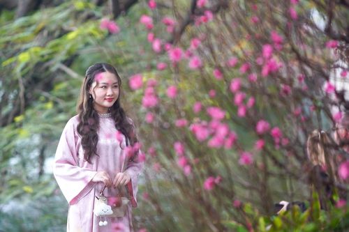 Thiếu nữ Hà Nội diện áo dài bên hoa đào, dạo hồ Gươm dịp cuối năm
