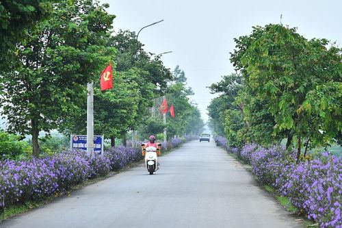 Chủ tịch UBND huyện Ba Vì Đỗ Mạnh Hưng Ba Vì hướng tới mục tiêu phát triển cao hơn, toàn diện hơn