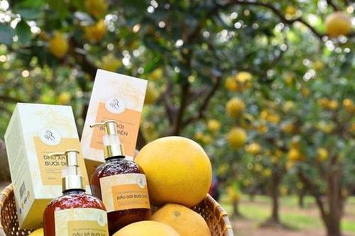 Tái cơ cấu, nâng cao giá trị cho cây bưởi: Câu chuyện truyền cảm hứng của Chủ tịch Hội Đồng quản trị Hợp tác xã Hà Nội Xanh