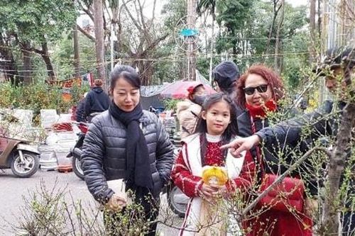 Chợ hoa xuân Công viên Tuổi trẻ Thủ đô tấp nập trong ngày cận Tết