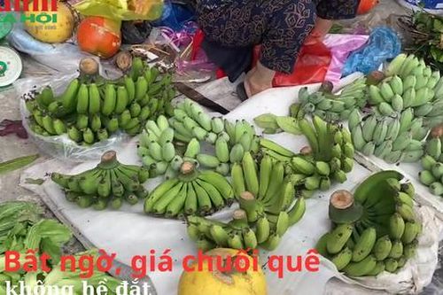 Bất ngờ, giá chuối quê không hề đắt
