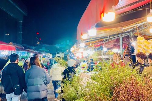 Chợ hoa lớn bậc nhất Thủ đô tấp nập ngày cận Tết 2025