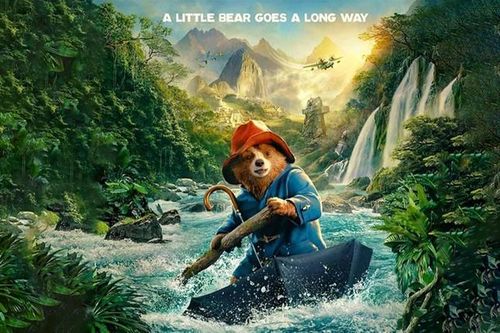 Gấu Paddington sẽ ra sao khi hồn nhiên lạc vào 'đại chiến phim Việt'?