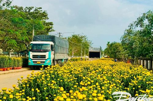 Rộn ràng những chuyến xe chở 'sắc xuân'