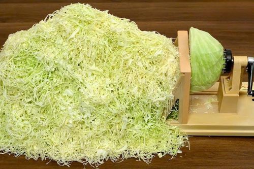 'Cú sốc bắp cải' của người Nhật