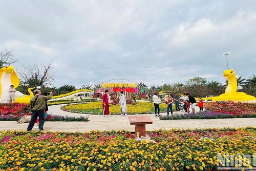 Quảng Nam rực rỡ chào Xuân Ất Tỵ 2025