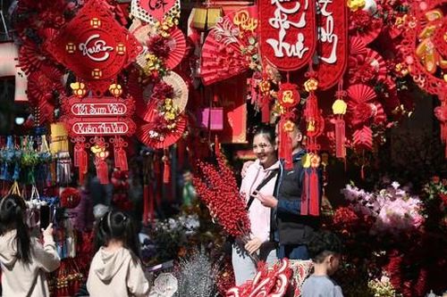 Người trẻ Hà Nội háo hức xuống phố đón Tết, mang mùa xuân về nhà