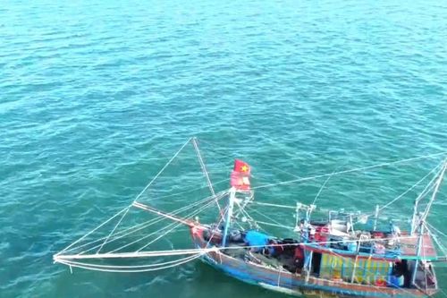 Quảng Bình: Ngư dân trúng đậm tôm biển ngày áp tết