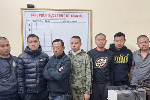 'Bảo kê' bán đào Tết ở Thanh Hóa, 7 người bị tạm giữ hình sự