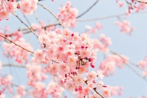 Tết rồi, về nhà thôi...