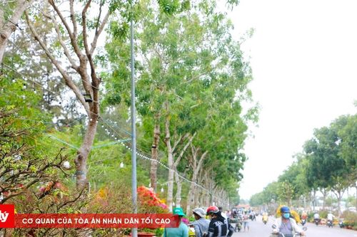 Rực rỡ sắc Xuân chợ hoa Tết tại Sóc Trăng