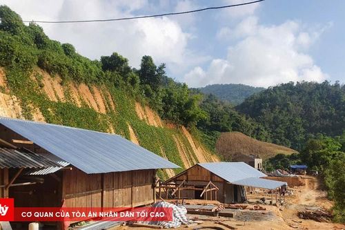 Đón xuân trên vùng đất mới