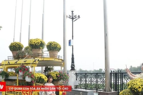 Bình Dương: Sắc xuân ngập tràn Đường hoa Bạch Đằng