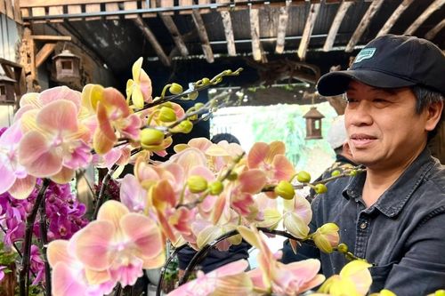 Món hàng đắt khách dịp Tết, ông chủ khuyên 'có tiền tỷ hãy nghĩ tới khởi nghiệp'