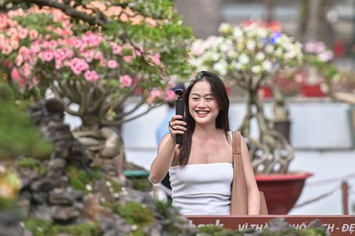 Du khách trảy hội xuân TPHCM, thả dáng bên 'rừng' hoa rực rỡ