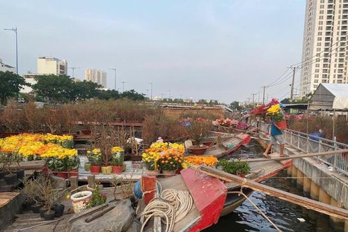 Hoa Tết xuống phố đón Xuân