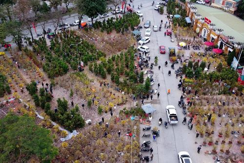Nhiều điểm bán cây cảnh ở TP. Vinh xả hàng ngày 28 Tết