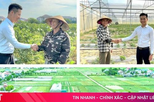 Hà Tĩnh - nông nghiệp hữu cơ chuyển mình