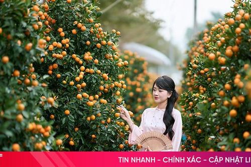Náo nức xuân sang
