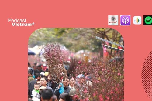 Chợ hoa Hàng Lược – nơi cất giữ ký ức Tết xưa của người Hà Nội