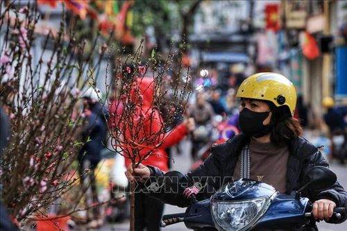 Đi chợ Tết ngày cuối năm - Nét văn hóa của người Việt